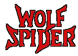 Wolf Spider